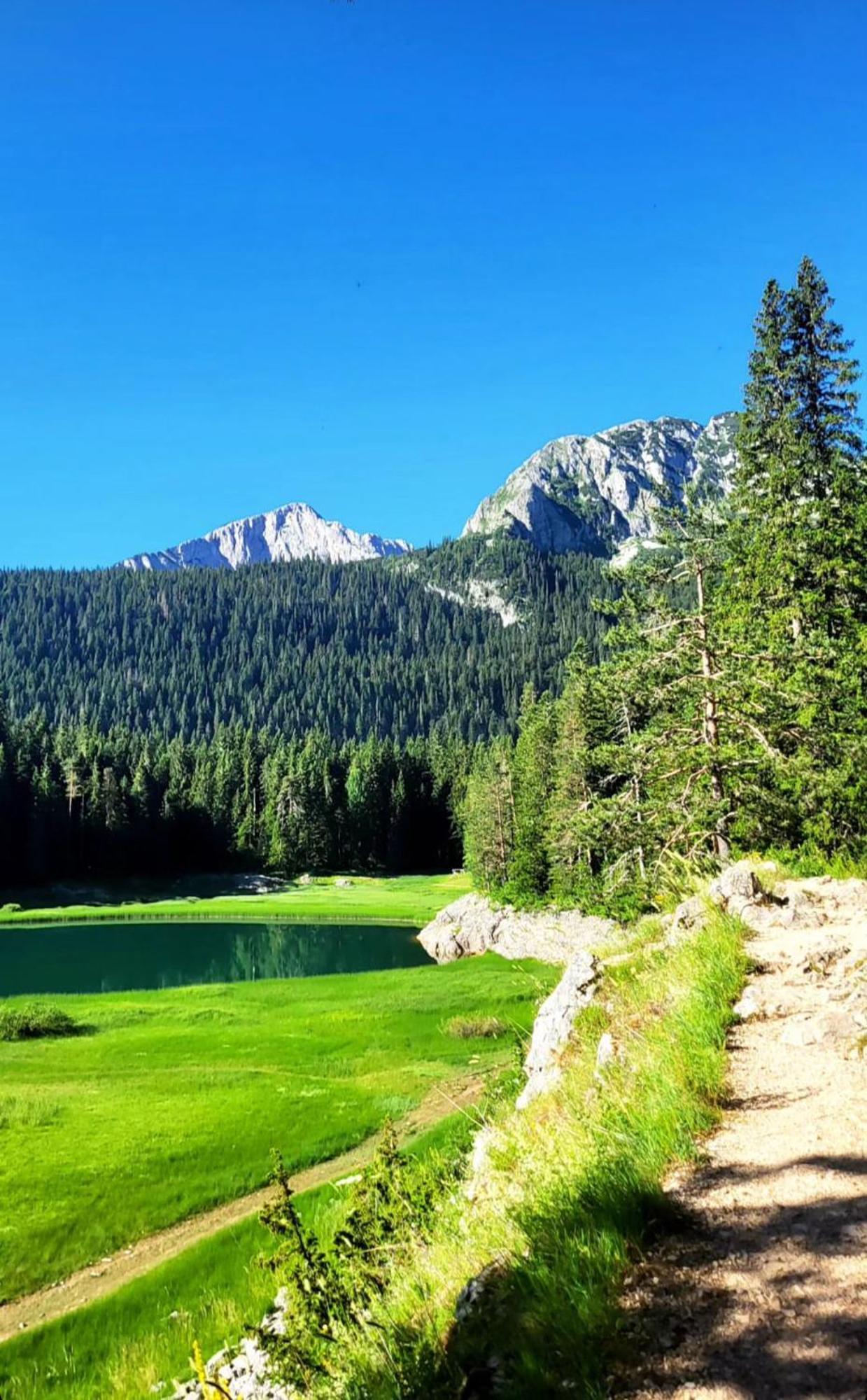 Stefani Zabljak (Zabljak)